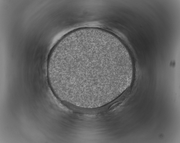 X0000112351176200909241055