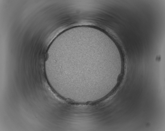 X0000112351177200909241055