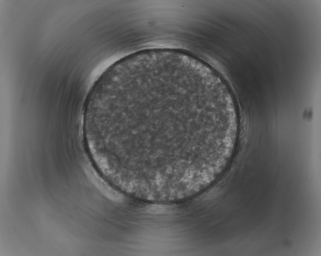 X0000112351179200909241055