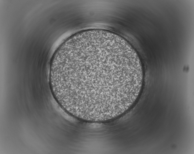 X0000112351180200909241055