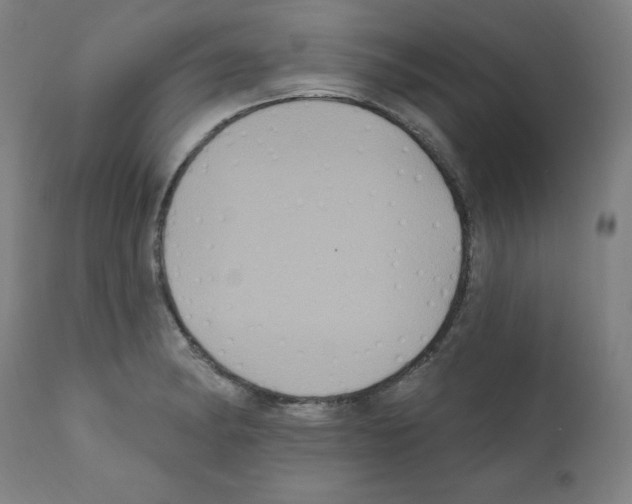 X0000112351182200909241055