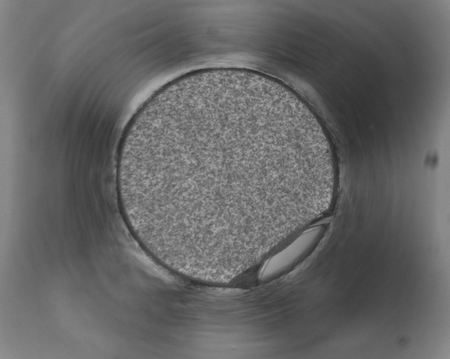 X0000112351184200909241055