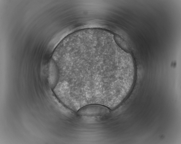 X0000112351185200909241055