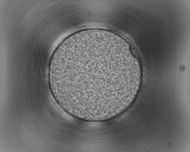 X0000112351188200909241055