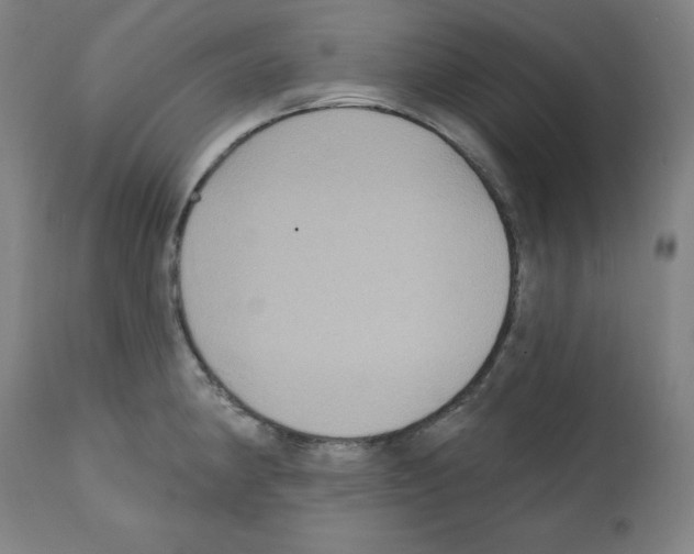 X0000112351190200909241055