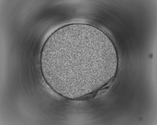 X0000112351192200909241054