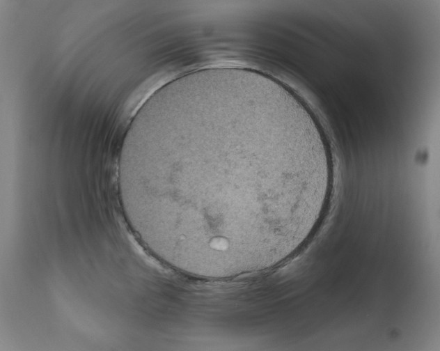 X0000112351193200909241054