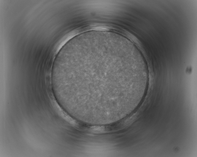 X0000112351194200909241054