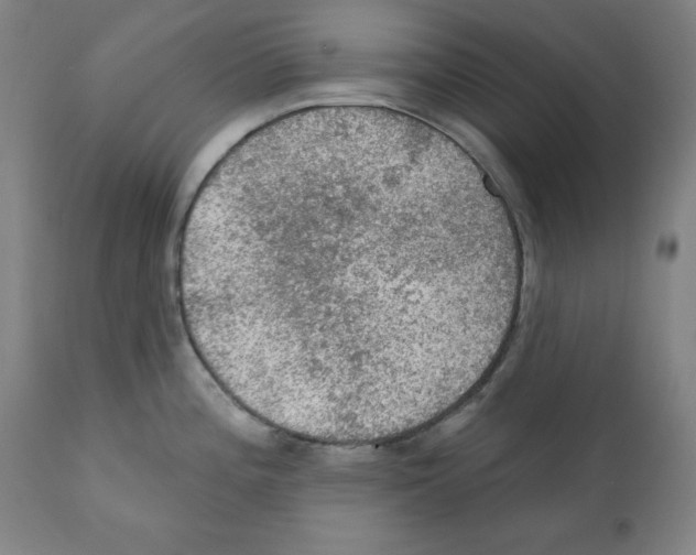 X0000112351196200909241054