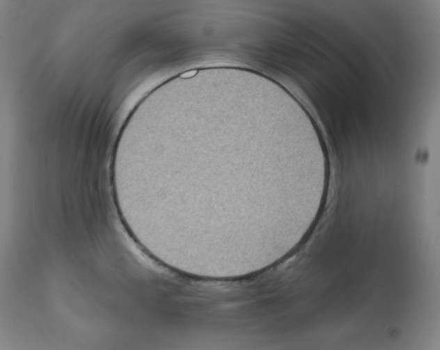 X0000112351197200909241054