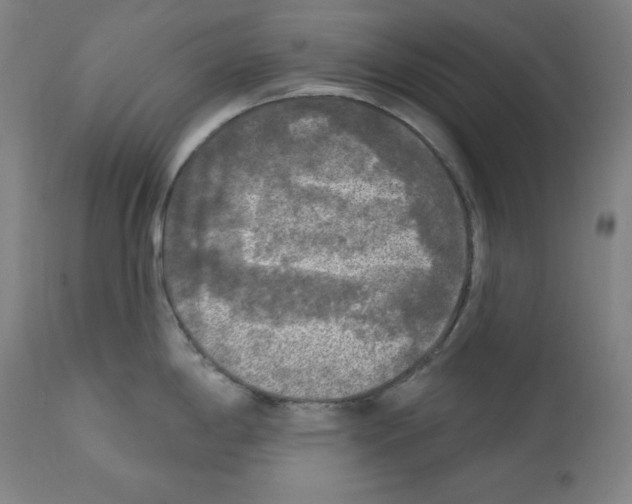 X0000112351198200909241054