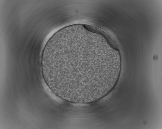 X0000112351200200909241054