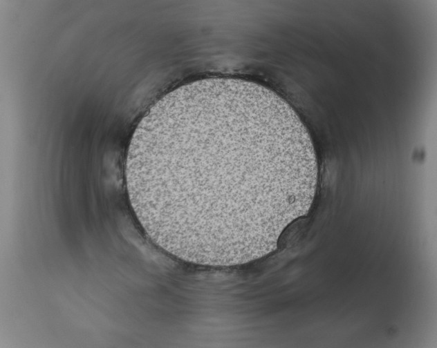 X0000112351202200909241054