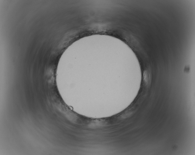 X0000112351203200909241054