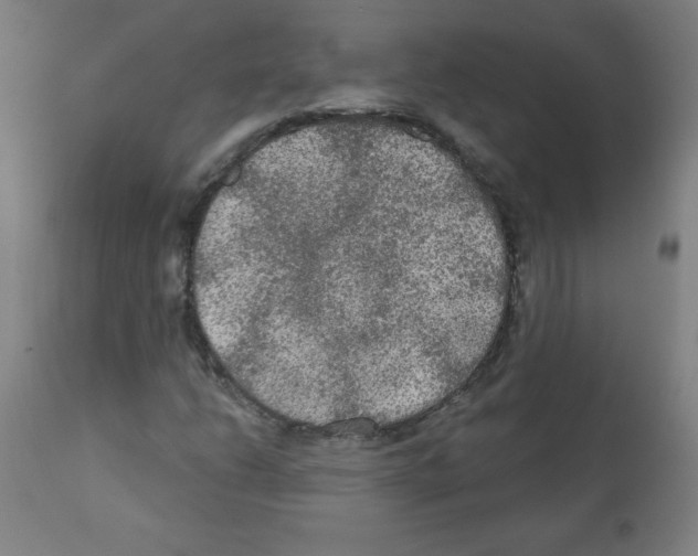 X0000112351206200909241054