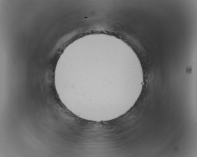 X0000112351207200909241054