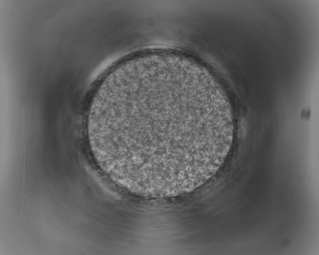 X0000112351208200909241054