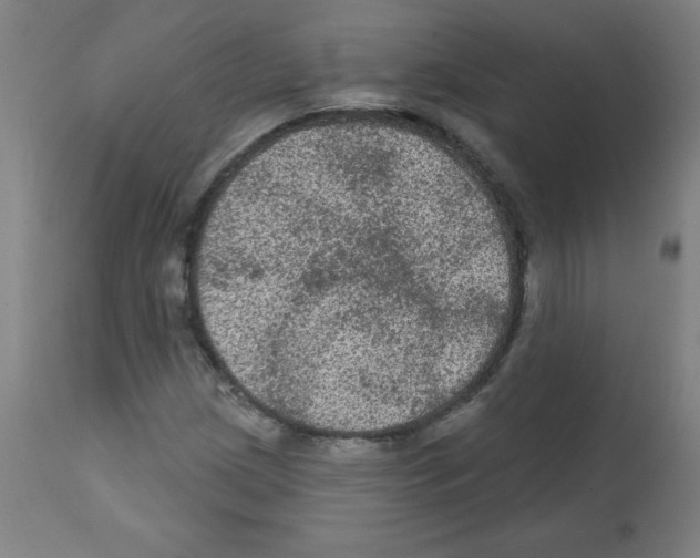 X0000112351209200909241054