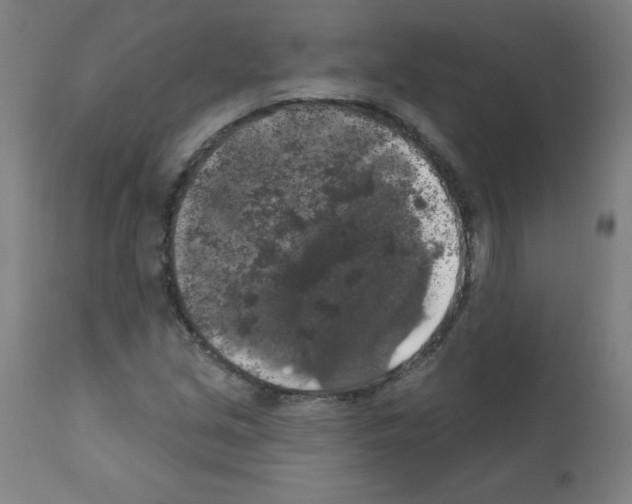 X0000112351213200909241054