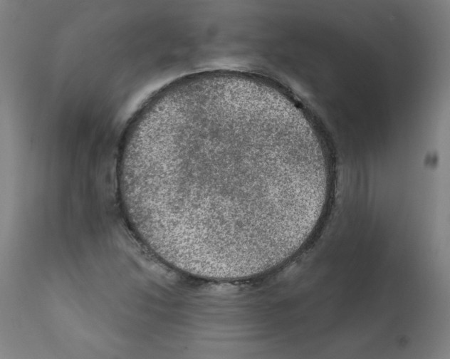 X0000112351214200909241054