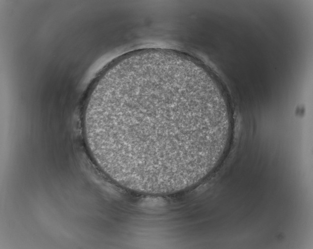 X0000112351215200909241054