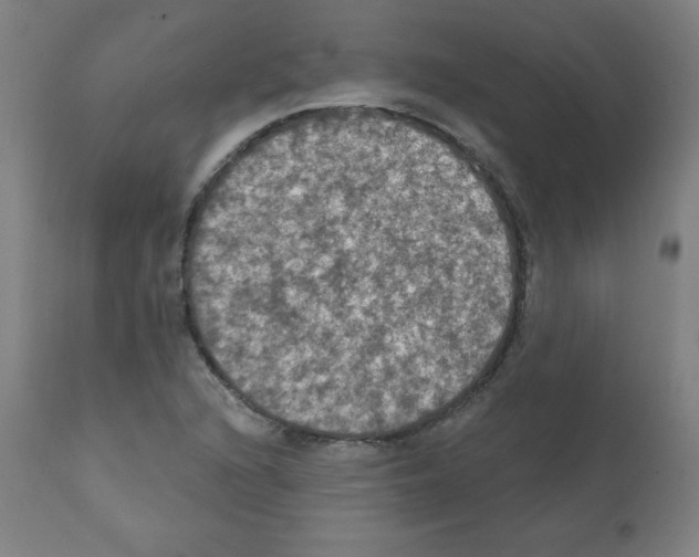 X0000112351216200909241054