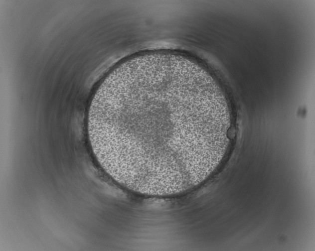 X0000112351217200909241054