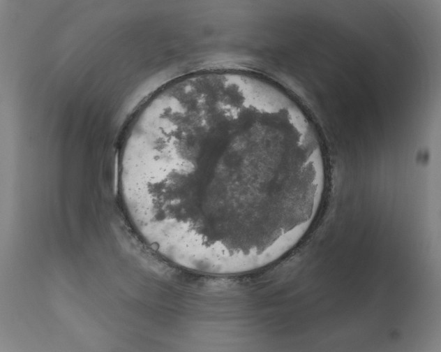 X0000112351219200909241054