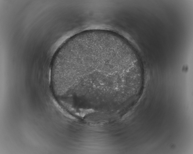 X0000112351221200909241054