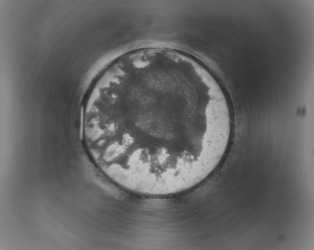 X0000112351223200909241054