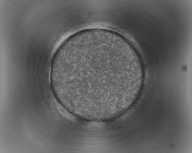 X0000112351224200909241054