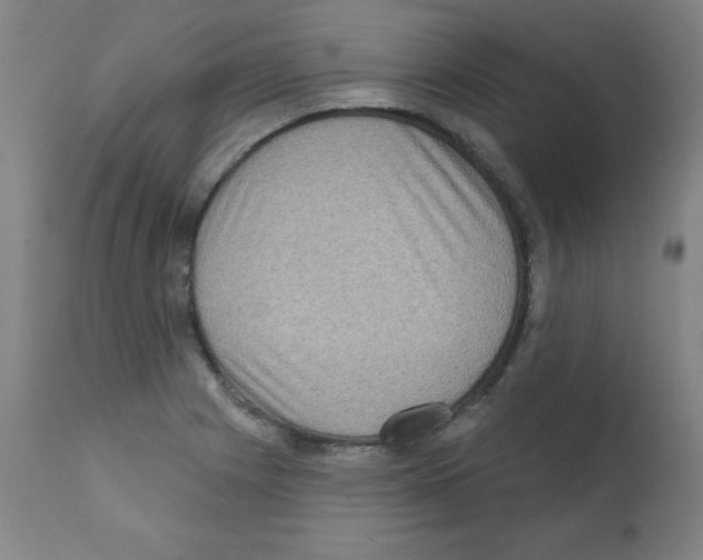 X0000112351225200909241054