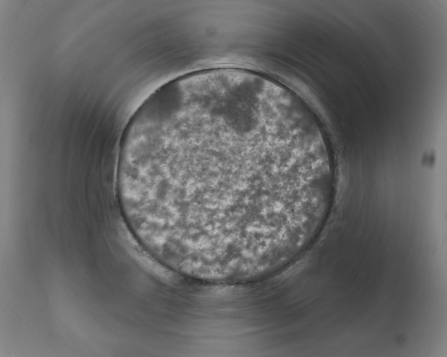 X0000112351228200909241054