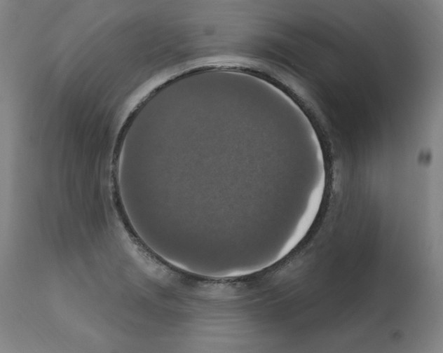 X0000112351229200909241054