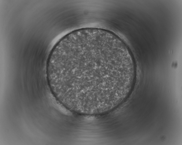 X0000112351230200909241054