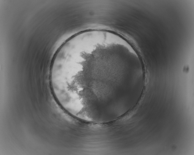 X0000112351231200909241054