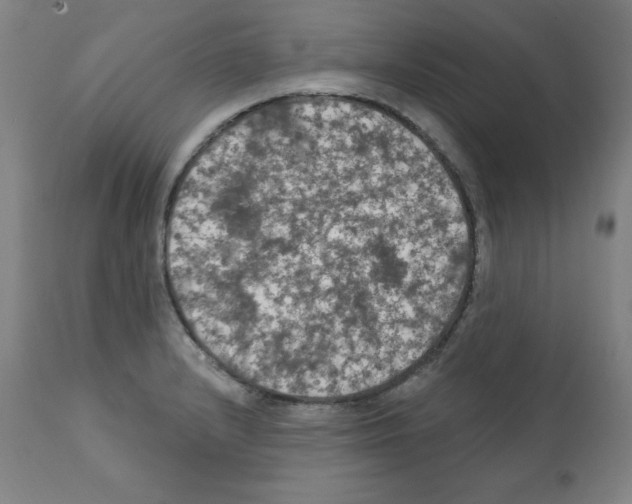 X0000112351232200909241054