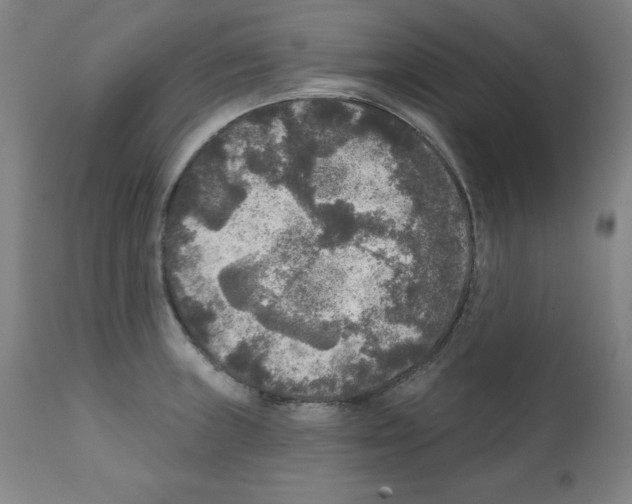 X0000112351235200909241054