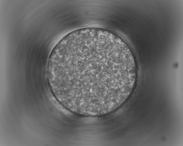 X0000112351236200909241054