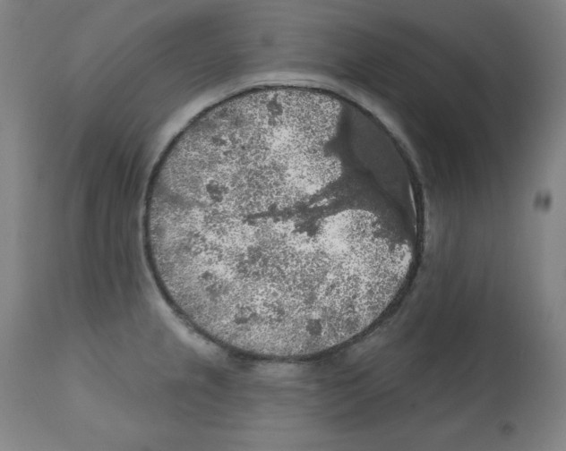 X0000112351237200909241054