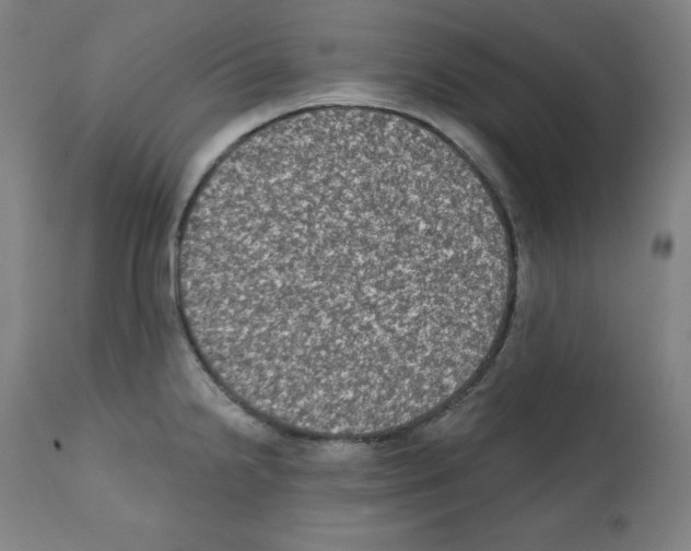 X0000112351238200909241054