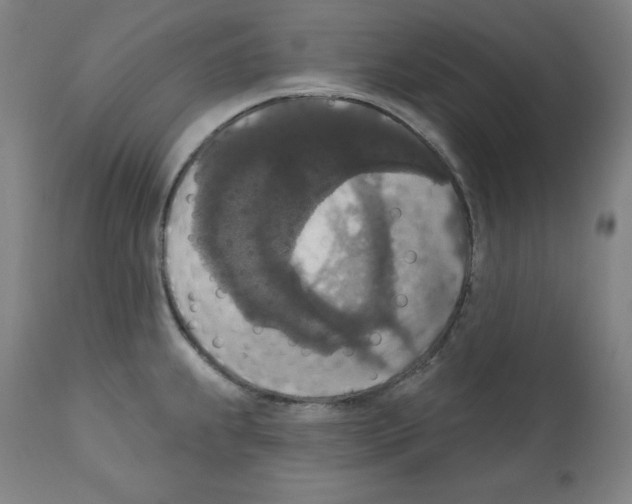 X0000112351239200909241054