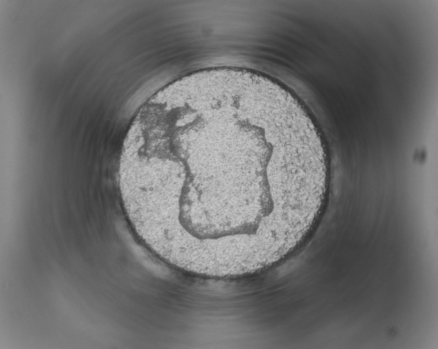 X0000112351241200909241054