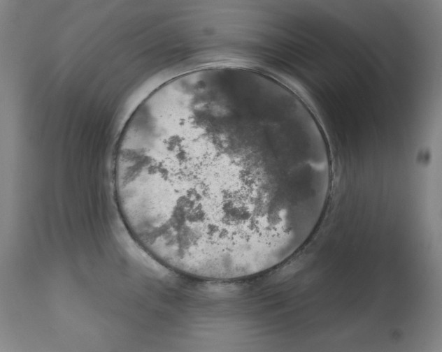 X0000112351243200909241054