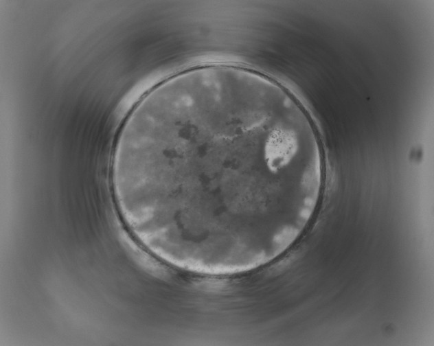 X0000112351245200909241054