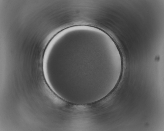 X0000112351246200909241054