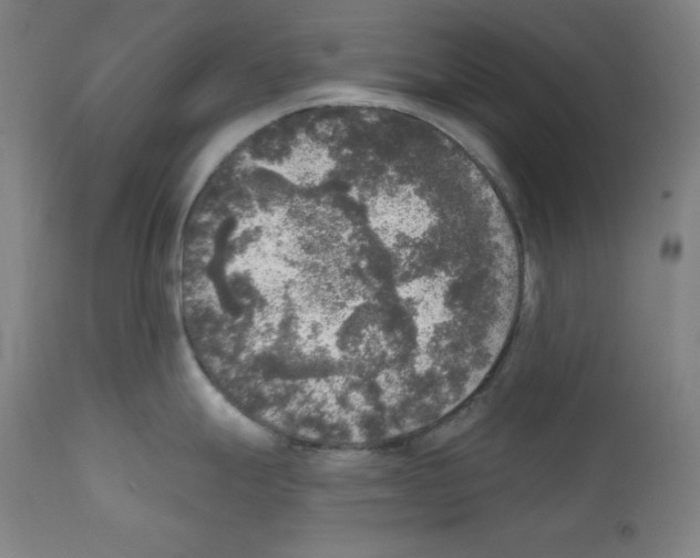 X0000112351247200909241054