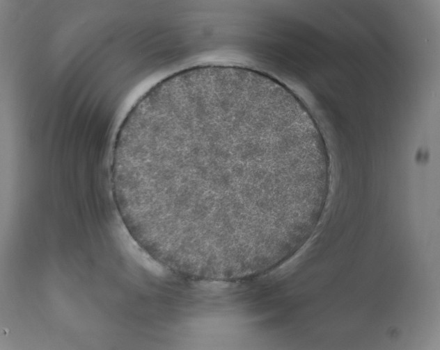 X0000112351248200909241054