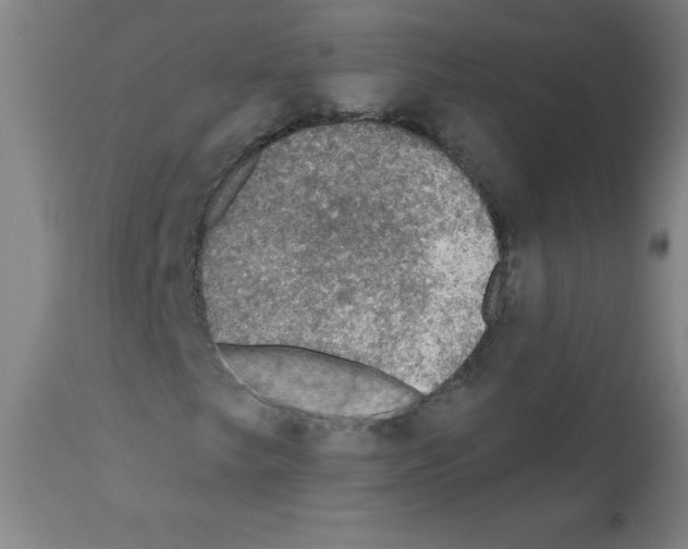 X0000112351249200909241054