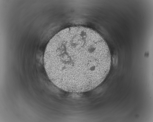 X0000112351251200909241054